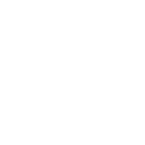 Warehouse Technology Services